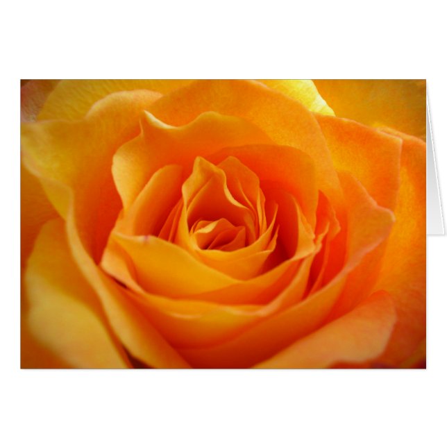 Tarjeta Rosa (Anverso (Horizontal))