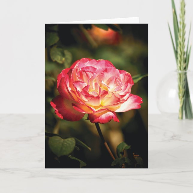Tarjeta Rosa amable (Anverso)