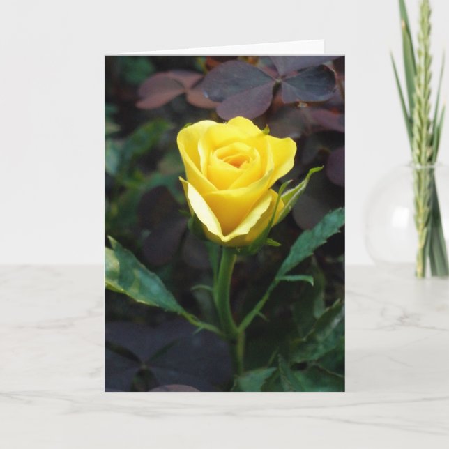 Tarjeta Rosa amarilla (Anverso)