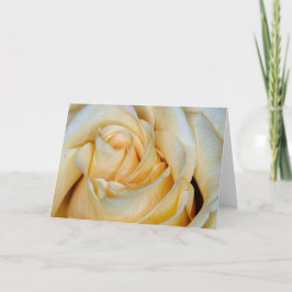 Tarjeta Rosa amarilla 0304