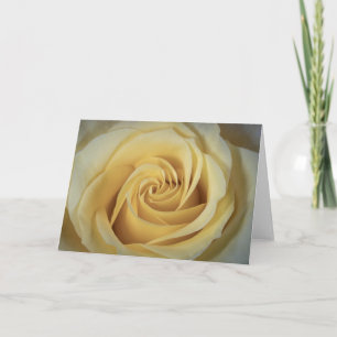 Tarjeta Rosa amarilla de 6363
