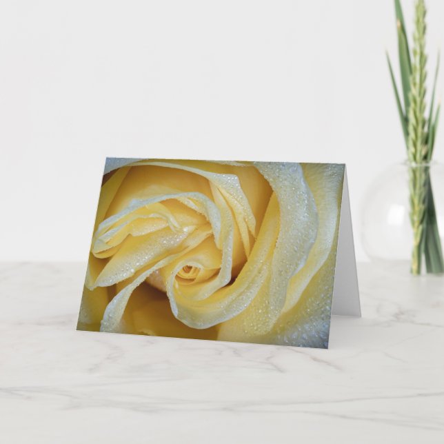 Tarjeta Rosa amarilla de 6557 con dew (Anverso)