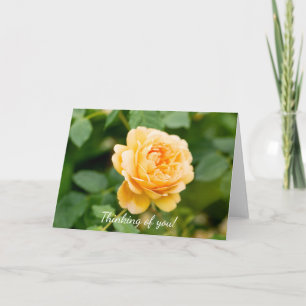 Tarjeta Rosa Amarilla naranja Pensando En Ti