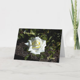 Tarjeta Rosa amarilla pálida: Pensando en ti