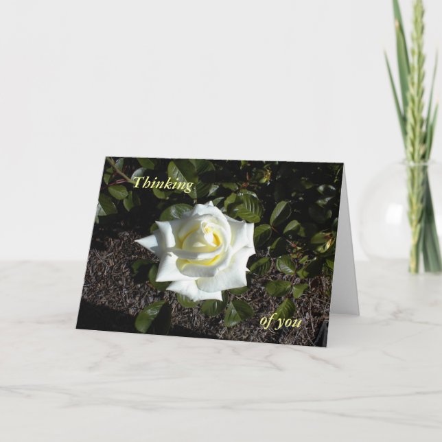 Tarjeta Rosa amarilla pálida: Pensando en ti (Anverso)