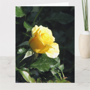 Tarjeta Rosa amarilla única elegante y subestimada en sang