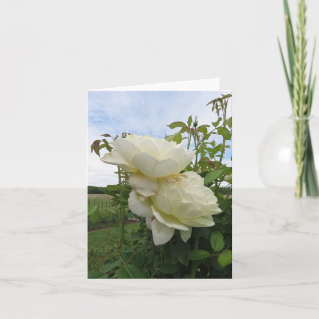 Tarjeta Rosa amarilla Vanessa Bell, vertical  (Anverso)