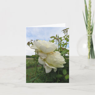 Tarjeta Rosa amarilla Vanessa Bell, vertical