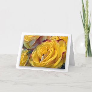 Tarjeta Rosa amarillo del nexo (fondo blanco)