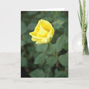 Tarjeta Rosa amarillo floreciente