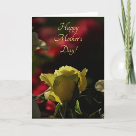 Tarjeta Rosa amarillo iluminado abriendo el día de la madr