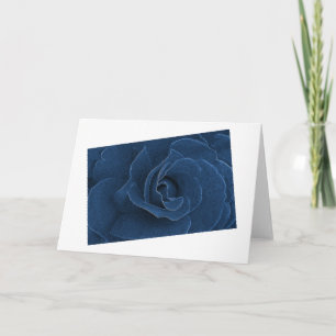 Tarjeta Rosa azul de terciopelo