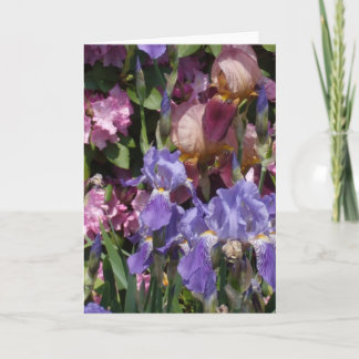 Tarjeta Rosa azul púrpura del jardín del iris