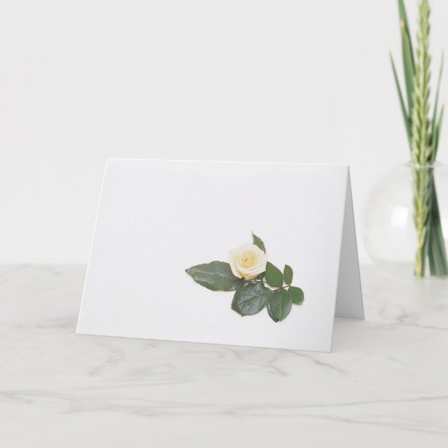 Tarjeta rosa blanca (Anverso)
