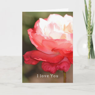 Tarjeta Rosa Blanca Roja Amor (fotografía por mí)