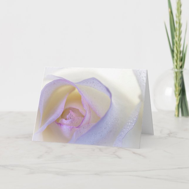 Tarjeta Rosa blanca y rosa con salsa (Anverso)