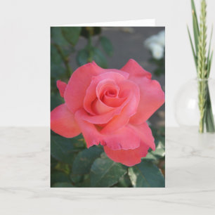 Tarjeta Rosa bonito