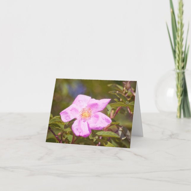 Tarjeta Rosa Briar (Anverso)