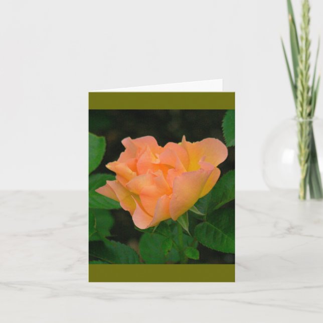 TARJETA ROSA COLOR TANGERINO (FOTOG) (Anverso)