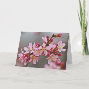 Tarjeta Rosa Contra Un Cielo Gris Flor De Cerezo Japonesa