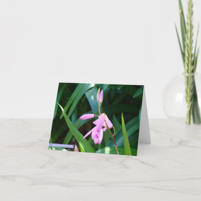 Tarjeta Rosa contra verde (Anverso)