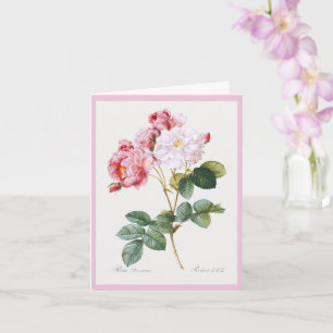 Tarjeta Rosa Damascena, Feliz Cumpleaños
