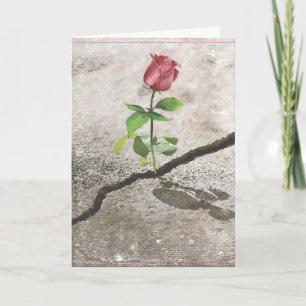 Tarjeta Rosa de concreto