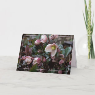 Tarjeta Rosa De Cuaresma Por Madre