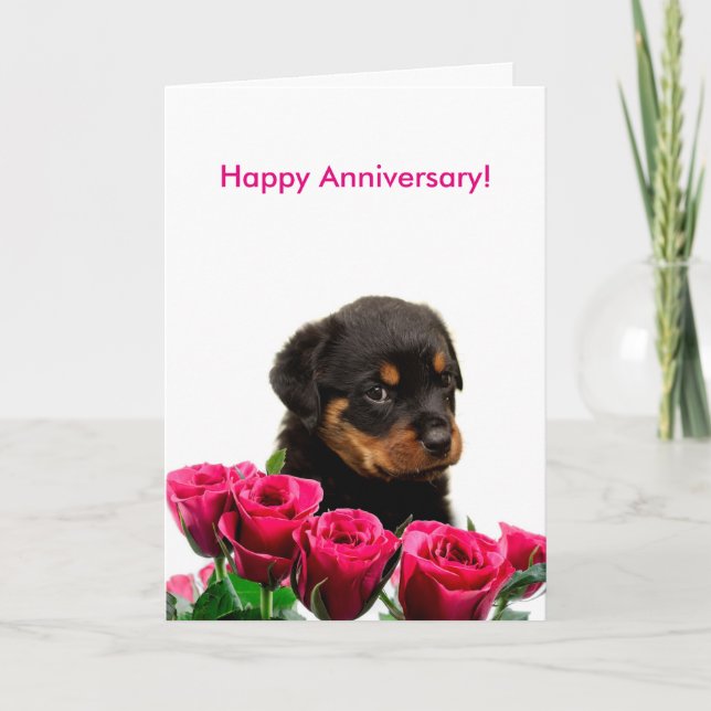 Tarjeta Rosa de feliz aniversario Rottweiler Puppy (Anverso)
