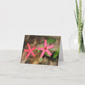 Tarjeta Rosa de fuego - Customized2