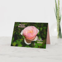 Rosa de inglés rosa Hermana feliz cumpleaños