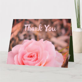 Tarjeta Rosa de jardín rosado