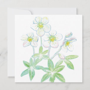 Tarjeta rosa de Navidad, Helleborus niger