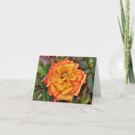 Tarjeta Rosa de oro Naranja único del jardín de Alemania