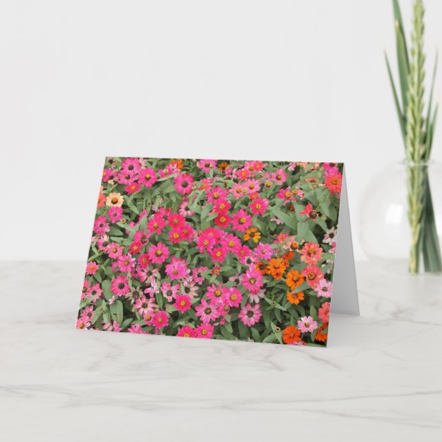 Tarjeta Rosa de Riotious (Anverso)