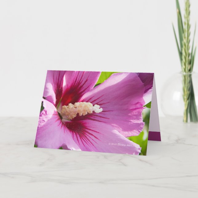 Tarjeta Rosa de Sharron (Anverso)