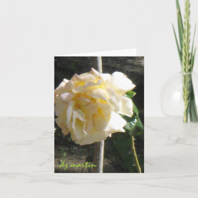 Tarjeta Rosa de Texas (Anverso)