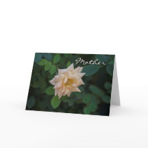 Rosa de vainilla del día de la madre