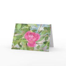 Rosa del día de madre subió