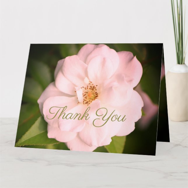 Tarjeta Rosa del Jardín Blanco (Anverso)