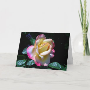 Tarjeta Rosa del jardín de verano medio