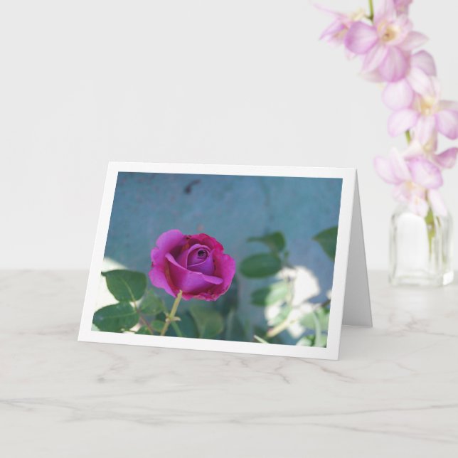 Tarjeta Rosa del jardín floral púrpura (Orquídea)