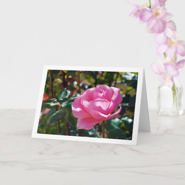 Tarjeta Rosa del jardín floral rosado (Orquídea)