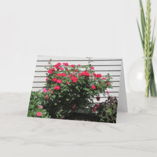 Tarjeta Rosa del Kardenal de los Cordes Rojos