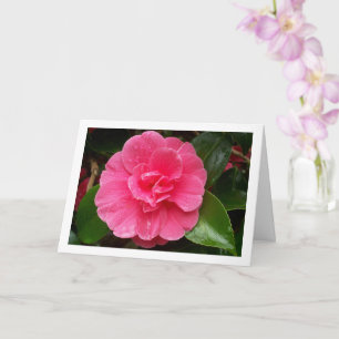 Tarjeta Rosa floral rosa