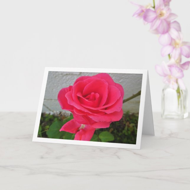 Tarjeta Rosa floral rosa (Orquídea)