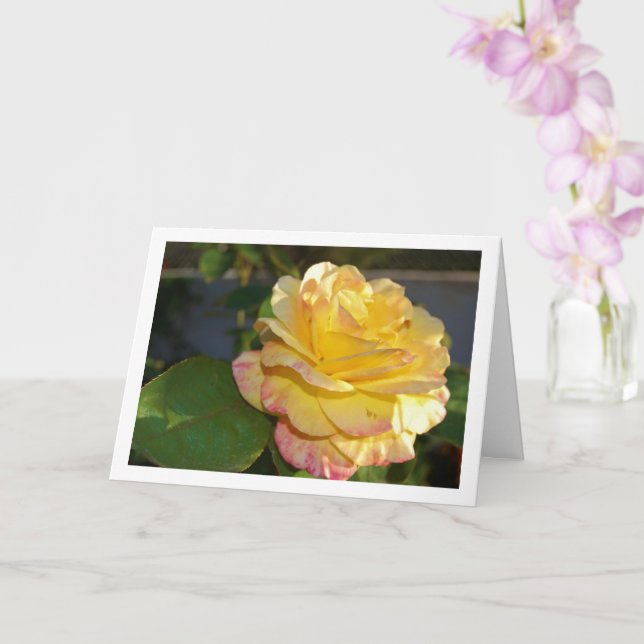 Tarjeta Rosa floral rosa y amarilla (Orquídea)
