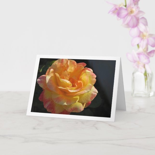 Tarjeta Rosa floral rosa y amarilla (Orquídea)