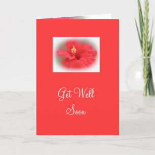Tarjeta Rosa Hibiscus Get Well Card