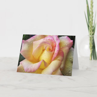 Tarjeta rosa húmeda